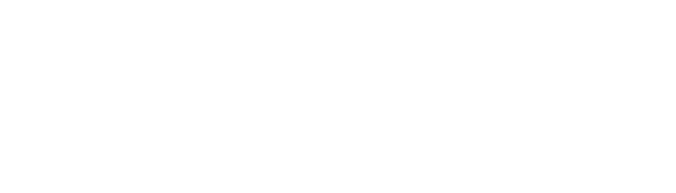 Boomi's Logo