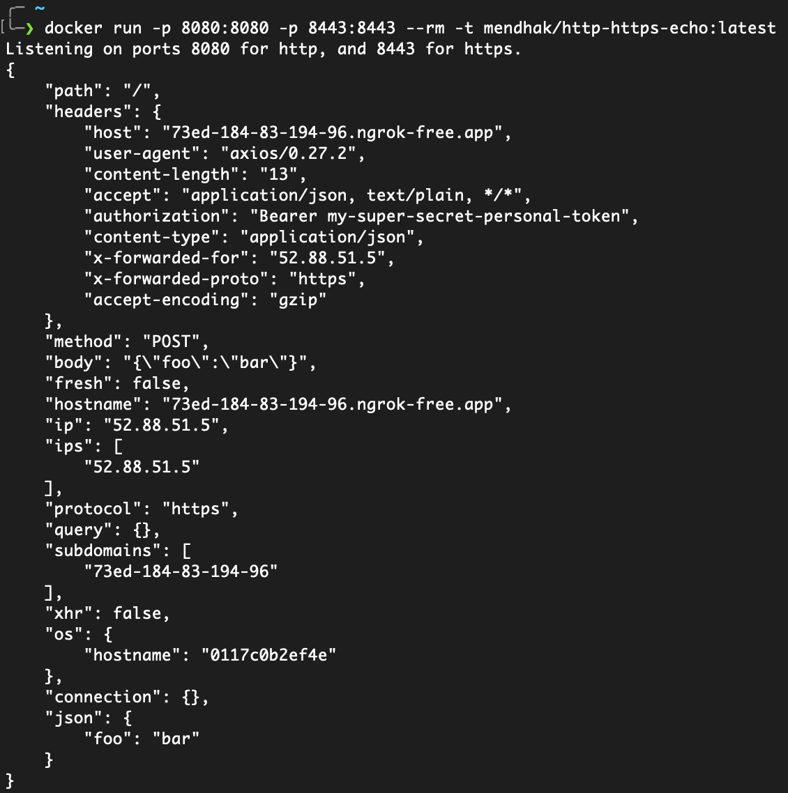 Raw request ngrok echo(maxWidth: 500px)